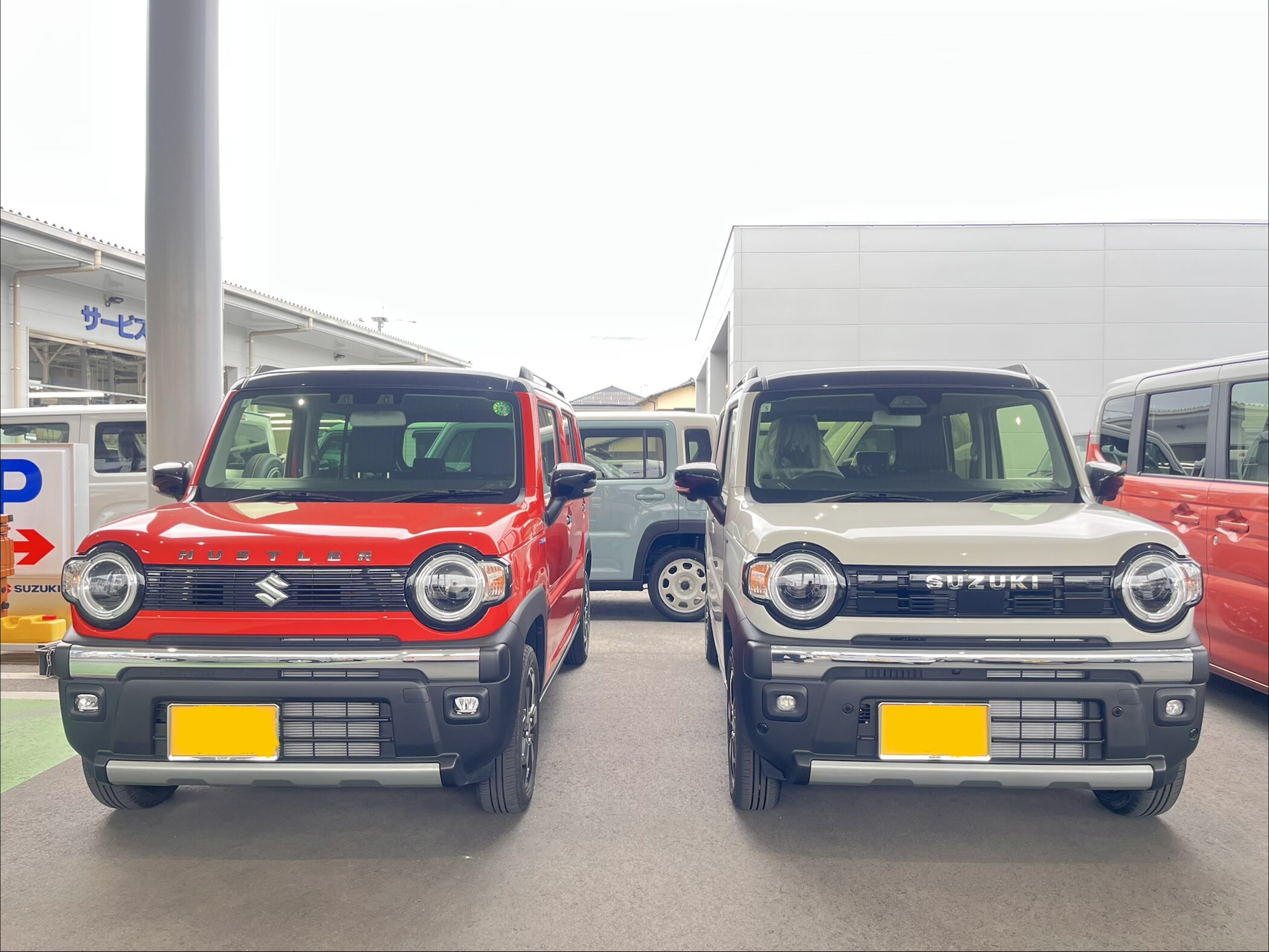 活動歴および当時の関連ビジュアル記録