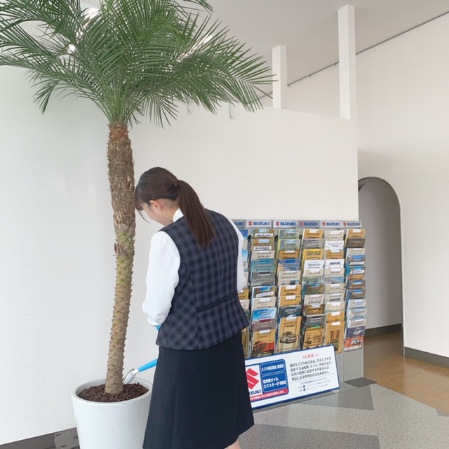 フェニックスロベレニーが届きました その他 お店ブログ スズキアリーナ大隅