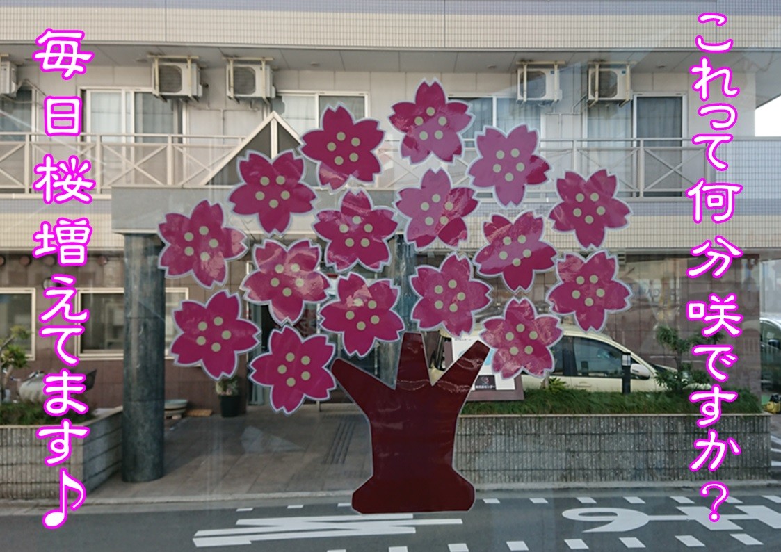 さくら W その他 お店ブログ 株式会社南海スズキ オートピア S