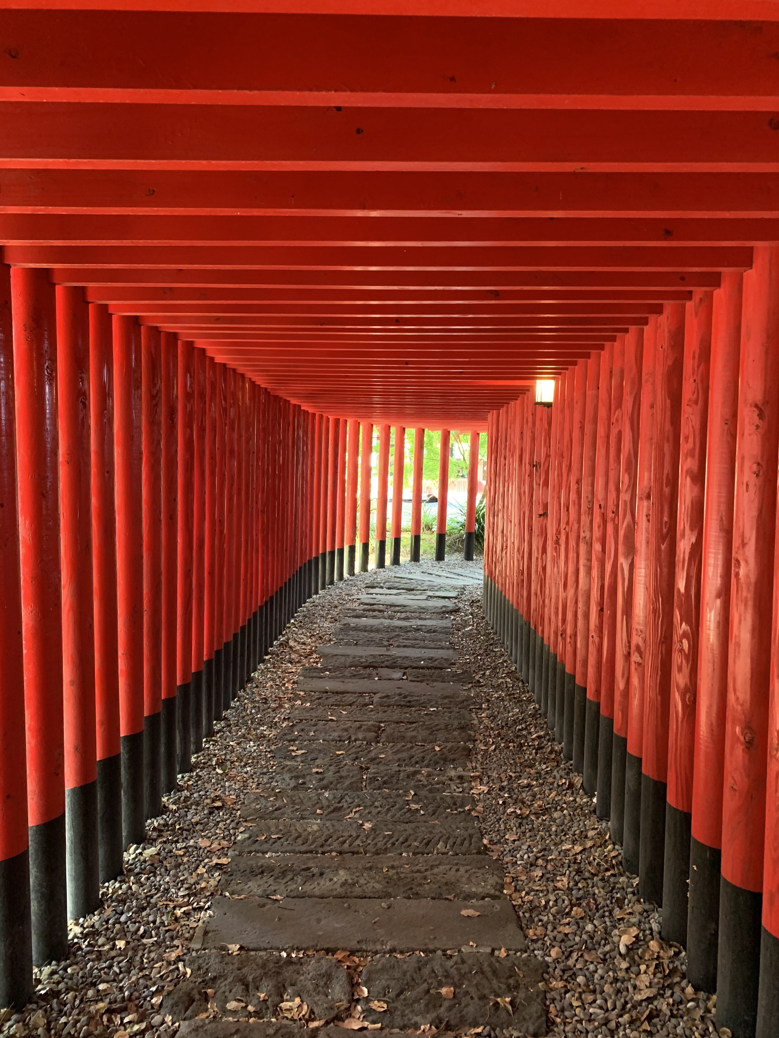 ジムニーで神徳稲荷神社へ 周辺のおすすめスポット お店ブログ 株式会社スズキ自販鹿児島 スズキアリーナ指宿中央 ジムニーで神徳稲荷神社へ 周辺のおすすめスポット お店ブログ 株式会社スズキ自販鹿児島 スズキアリーナ指宿中央