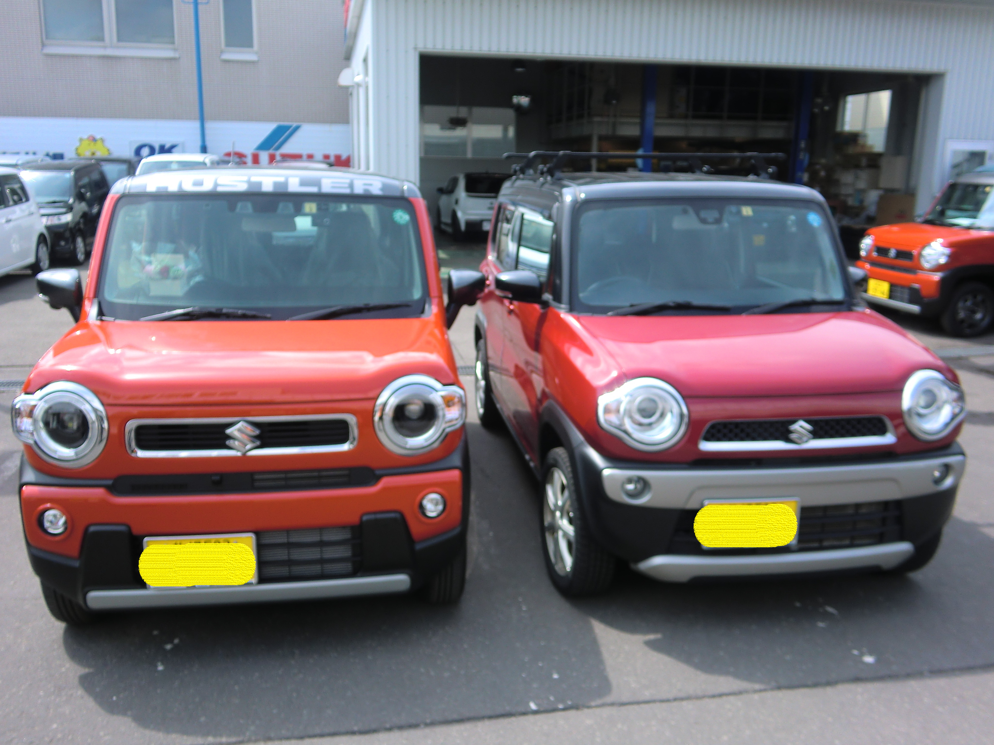 旧型ハスラーから新型ハスラー 第二世代へ突入 オーナーズボイス お店ブログ 株式会社オートランド札幌 スズキアリーナ新札幌