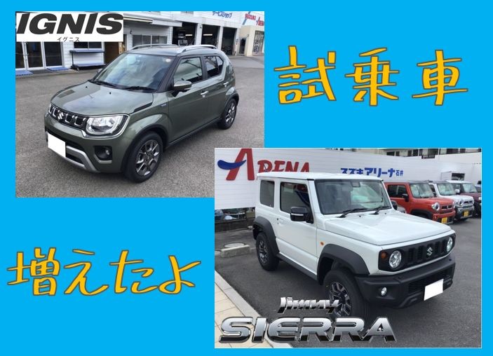 アリーナ石井にニューフェイスが その他 お店ブログ 株式会社スズキ自販徳島 スズキアリーナ石井 アリーナ石井にニューフェイスが その他 お店ブログ 株式会社スズキ自販徳島 スズキアリーナ石井