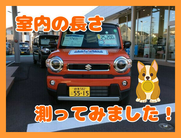 車中泊ができる車は Vol １ 新車情報 お店ブログ 岐阜スズキ販売株式会社 スズキアリーナ長良