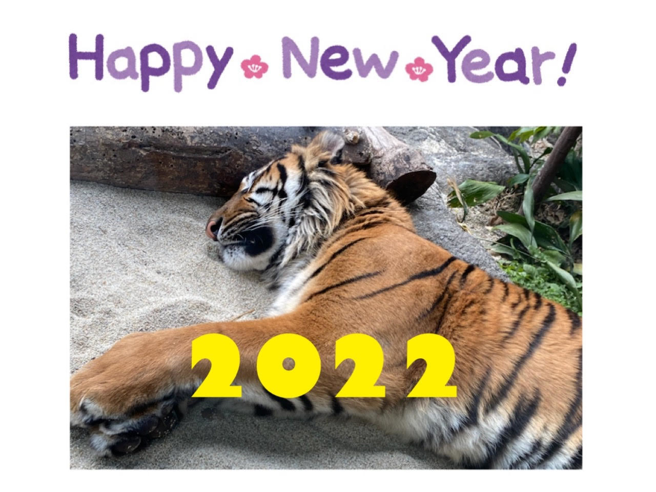 あけましておめでとうございます その他 お店ブログ 株式会社スズキ販売西兵庫 スズキアリーナ姫路南