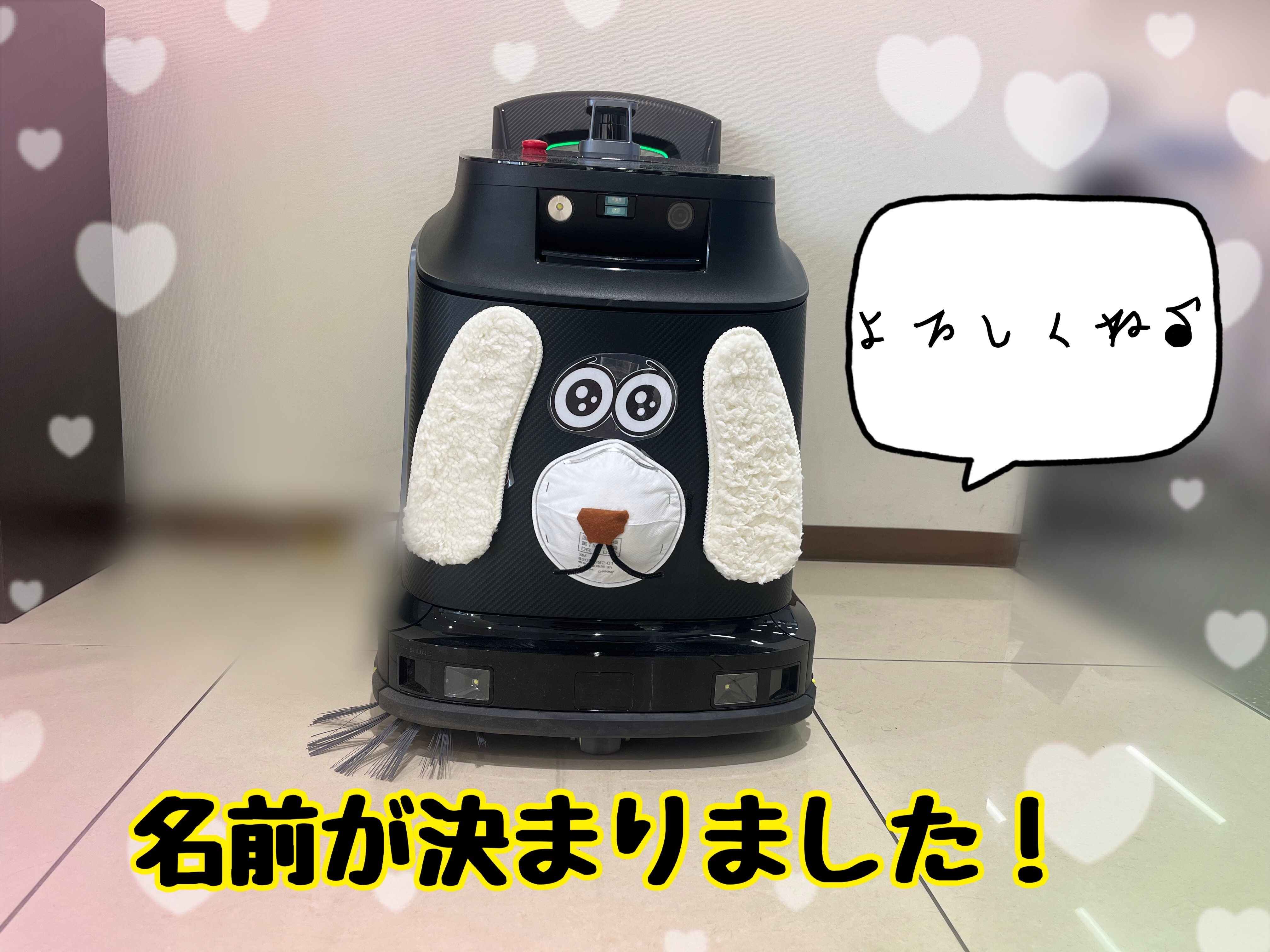 名前が決まりました！！！｜その他｜お店ブログ｜株式会社スズキ自販 