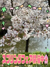 スプリングフェア開催中です！
