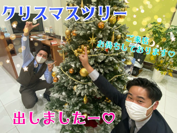 クリスマスツリー出しましたー(^^)