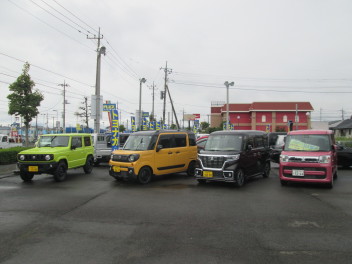 試乗車たくさんそろっています！！