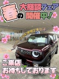 ✾お得な春がやってきました✾