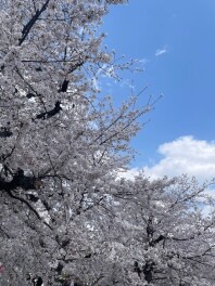 春になりました！！