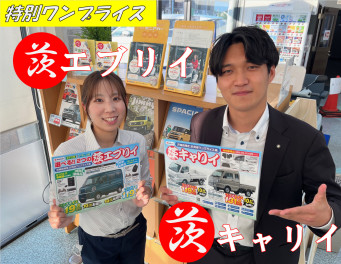 お得なプライス車始めました◎