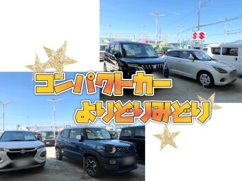 ✦ 試　乗　日　和 ✦