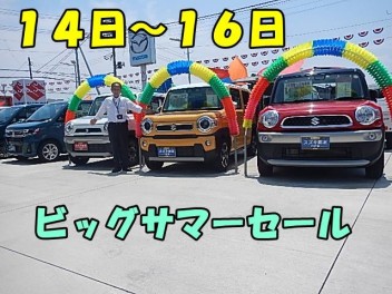 中古車ビッグサマーセール開催！