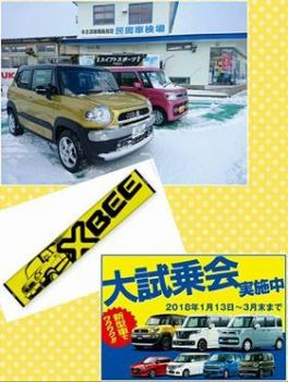 大試乗会☆実施中です。
