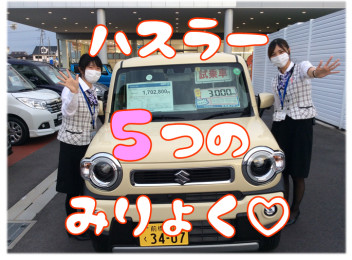 ☆改めまして、ハスラー紹介☆