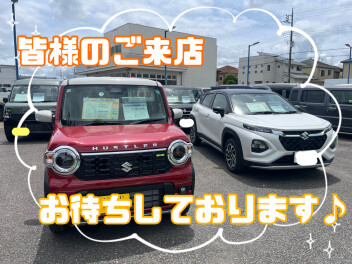 お車のご相談は龍ケ崎へ！