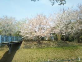 新春の展示会です！！４月７日（土）８日（日）