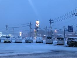 雪がすご～ぉい･ﾟ･(ﾉД`;)･ﾟ･