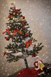 クリスマスに素敵な出会いを