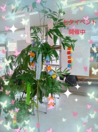 七夕イベント開催しています☆彡