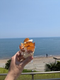 A和歌山西の週末展示会!!　7/5、7/6、7/7