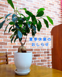 夏季休業のおしらせ