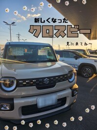 新型クロスビー◝︎(*´꒳`*)◜︎試乗できます