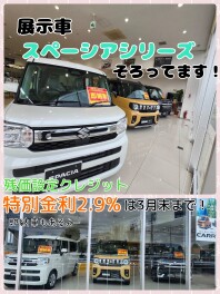 もうすぐ桜の季節♪展示車試乗車そろってます！