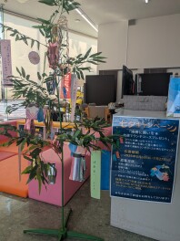 七夕　お客様プレゼント企画