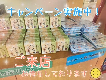 開催中のキャンペーンまとめました。