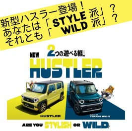 今大人気のハスラー★