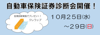 自動車保険診断会開催！