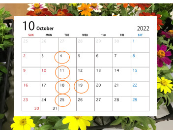 八女日記　「１０月の店休日のお知らせ」