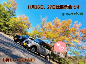 ☆１１月２６日（土）、２７日（日）は１１月最後の展示会を開催いたします☆