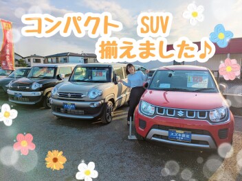 コンパクトSUV集めました☆彡