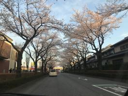 ☆ 終了間近です ☆