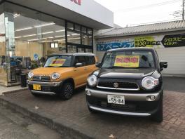 ☆ 4月最後の展示会 ☆