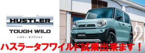 タフワイルド