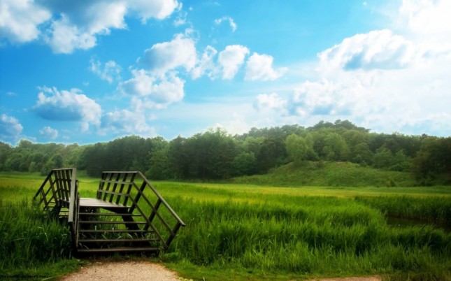 wooden-bridge-and-green-meadow-in-front-of-a-forest-under-a-blue-sky_1280x800