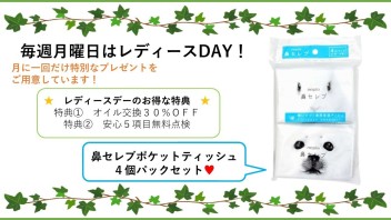 3月18日のレディースデーはプレゼント準備してます！