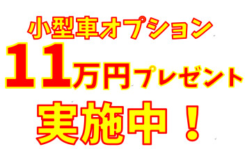 秋のお出掛けにはNEWクロスビー☆