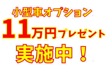 秋のお出掛けにはNEWクロスビー☆