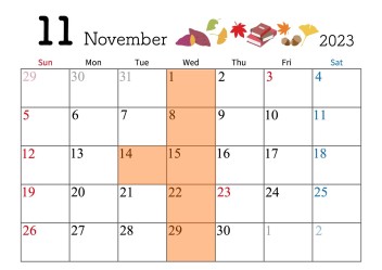 ●11月定休日のご案内●