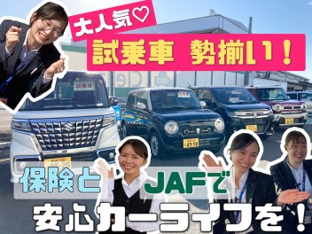 試乗車勢ぞろい♪　クルマも保険もお任せ下さい！
