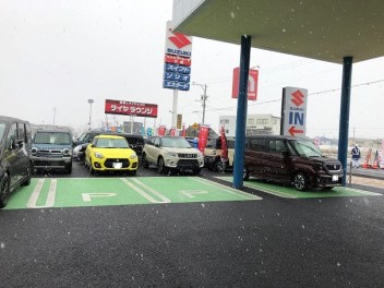本格的に