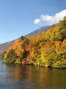 晩秋の紅葉狩り