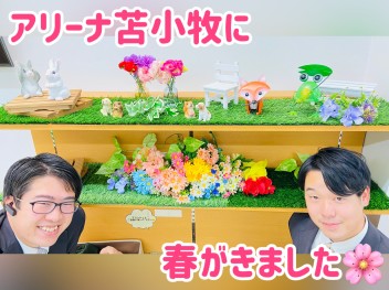 春のお知らせ