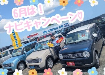 ラパン入荷しました☆彡