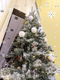 クリスマスツリーを飾りました（*^_^*）