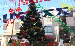 ★新しいクリスマスツリー★